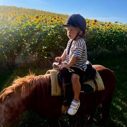 Kurz vor dem Sturz. Hedm allgemein nid so pässled. Nach 2 mmin. Heder gseid: Mier isch schlächt 😂