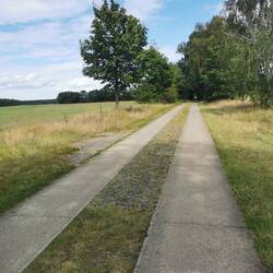 Betonplattenweg