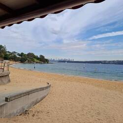 Camp Cove, near Watson Bay. Dolphins in the Bay...