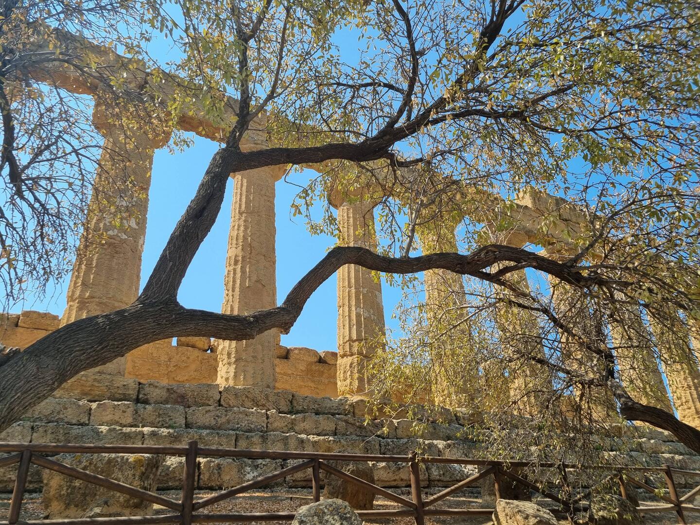 Temple de Junon