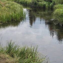 Headwaters of the Gibbon River