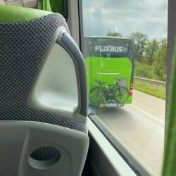 Rennen der grünen Riesen😄