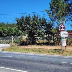 Yay! Entering Arzúa