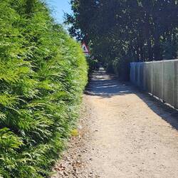 Looking back: A nice shaded path I had walked on