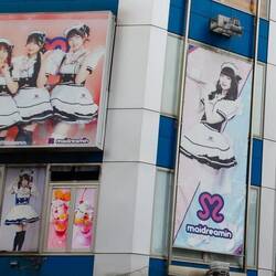 Maid café advertisement
