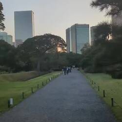 Musik im Park, die über Lautsprecher abgespielt wird