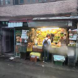 Little vege shop