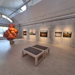 Moderne Exponate und Bilder zu Kunststoffmüll