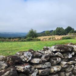 most of the paths had stone walls