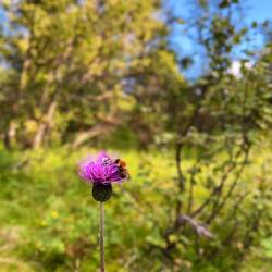 Ich genehmige mir ein Vollbad im direkt..