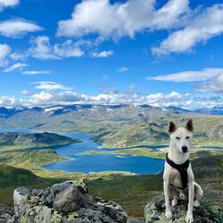..ein wenig lachen können.
