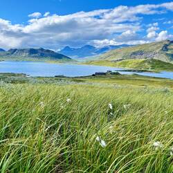 ..und Wollgräsern vorbei, ehe wir wieder..