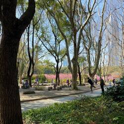 Tai Chi Training im Park