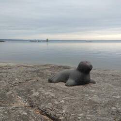 Robbe am Vänern