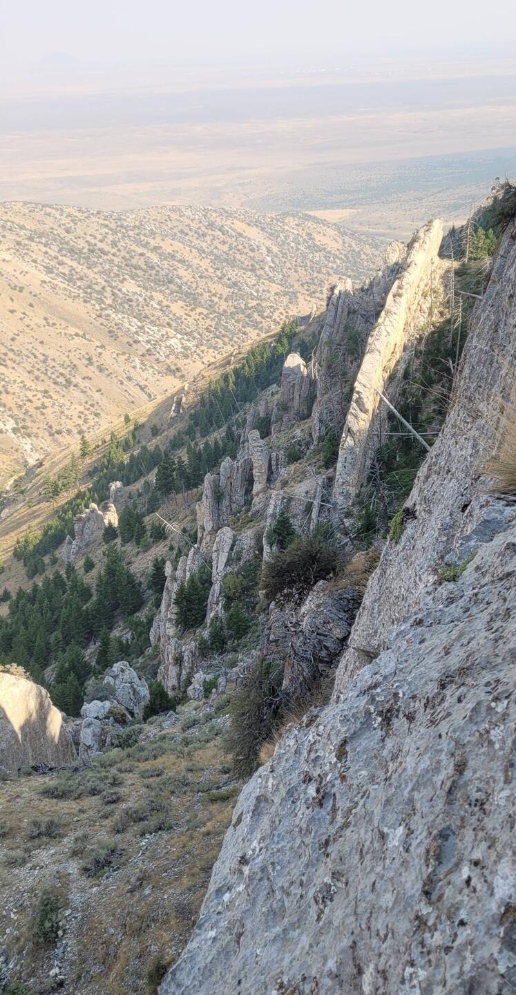 The Fins - climbing 🥰