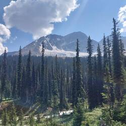 Blick zurück: Da oben sind wir gewandert...