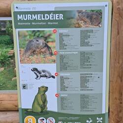 Und immer schön mit 4-sprachigen Infotafeln....