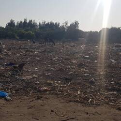 Leider gehört auch das zum Bild fast jedes Ortes.