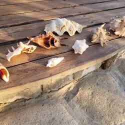 Mal eben auf 200m Strand aufgesammelt.