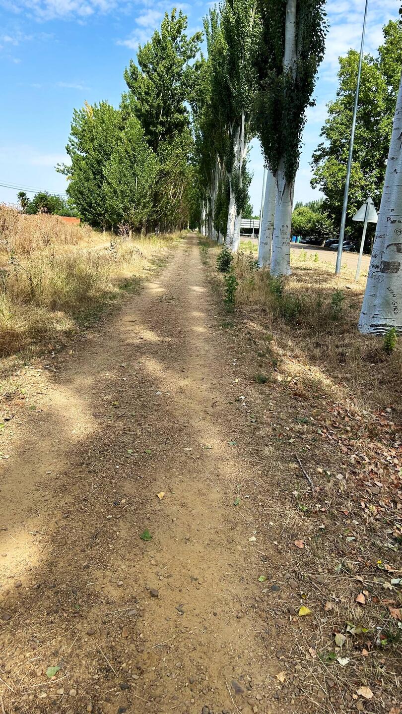 Pad dat de pelgrims lopen