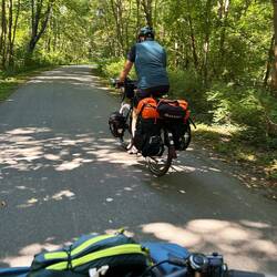 Los gings entspannt im schattigen Wald