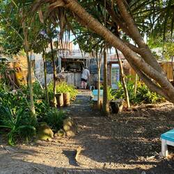 Cutist garden coffee shop