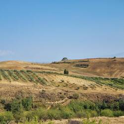 Agriturismo II Drago