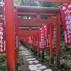 Sasuke Inari Schrein