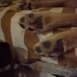 Na da wird verarbeitet 😉