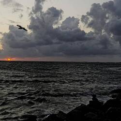 Zum Abschluss des Tages noch der Sonnenuntergang