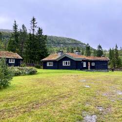 Auch hier finden sich..