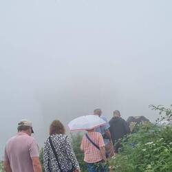 Down we go into the mist