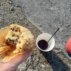 2. Zmorge in Wise River (und dann gabs noch einen frischen Kokos-Orangen-Muffin gratis dazu)!