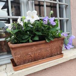 Angekommen.... Rumstromern