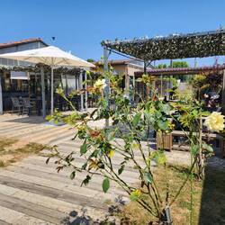 albergue Turistica Salceda