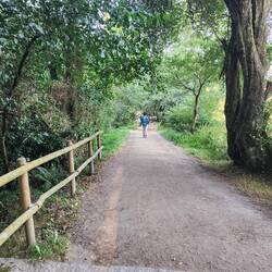 Nice path