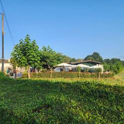 A café playing loud music at 9am in the countryside