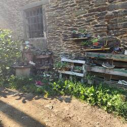 A collection of shoes