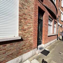 They come in many colors