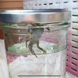 Johanna muss ausquartiert werden vor dem Trockendock...😁