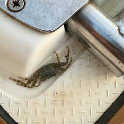 unsere Mitbewohnerin Johanna