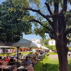 Plaza de los Naranjos