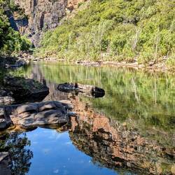 Inviting waterhole... Might give this one a miss