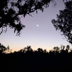 A crescent moon and Venus at sunset