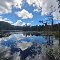 Trapper Trail mit guter Spiegelung