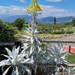 Auf dem Campingplatz