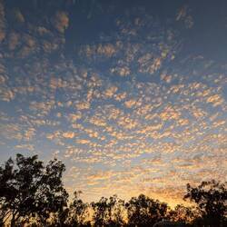 Sunrise