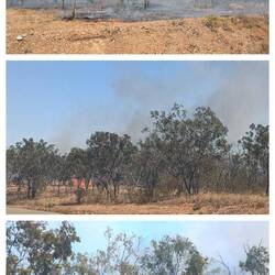Bushfire on the side of the road