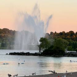 Fountain is at a park nearby. There was a triathlon there this morning
