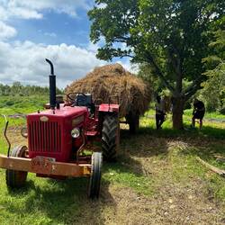 Traversée du village en tracteur pour aller récupérer de la paille